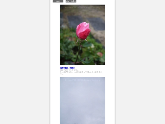 2024/hadaikon2024jan18 screenshot