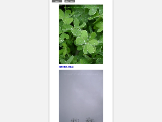 2024/hadaikon2024jan19 screenshot