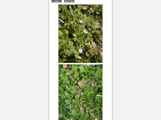 2024/hadaikon2024jan30 screenshot