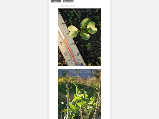 2024/hadaikon2024jan5 screenshot