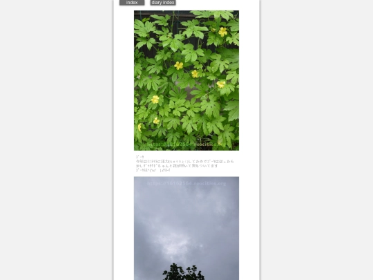 2024/hadaikon2024jul1 screenshot