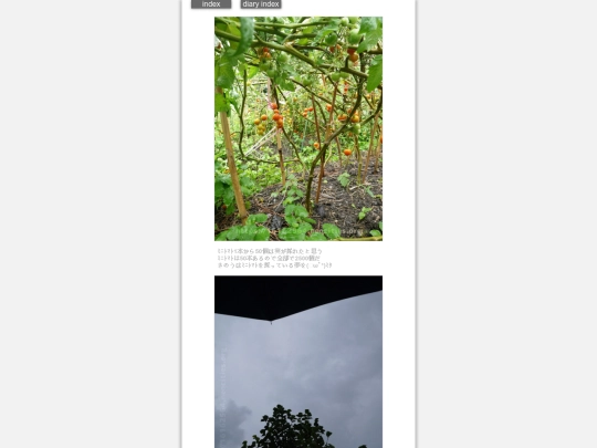 2024/hadaikon2024jul11 screenshot