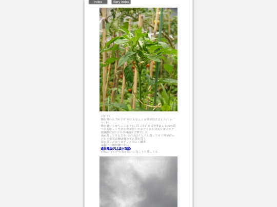 2024/hadaikon2024jul15 screenshot