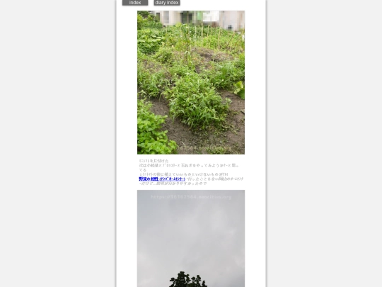 2024/hadaikon2024jul16 screenshot