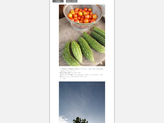 2024/hadaikon2024jul17 screenshot