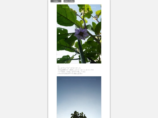 2024/hadaikon2024jul19 screenshot