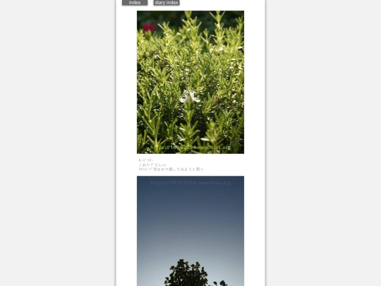 2024/hadaikon2024jul22 screenshot