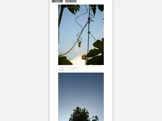 2024/hadaikon2024jul23 screenshot