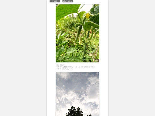 2024/hadaikon2024jul26 screenshot