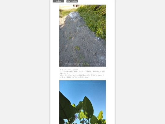 2024/hadaikon2024jul29 screenshot