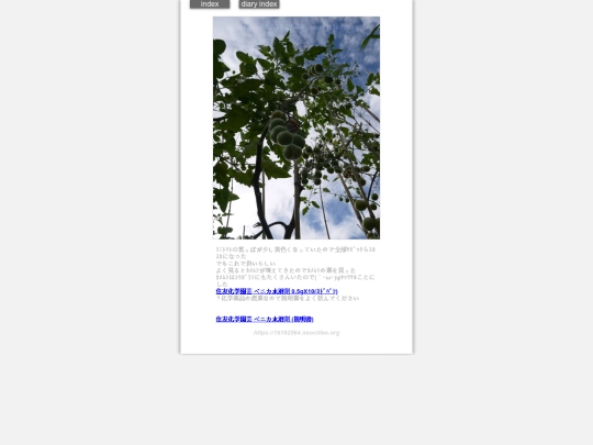 2024/hadaikon2024jul9 screenshot