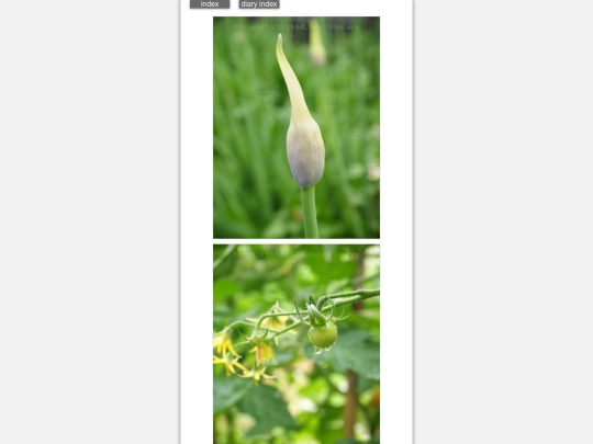 2024/hadaikon2024jun10 screenshot