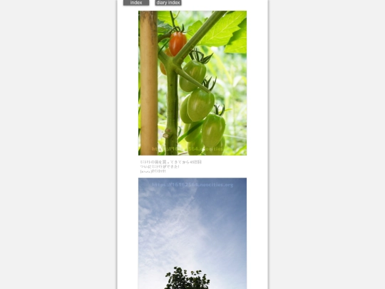 2024/hadaikon2024jun11 screenshot