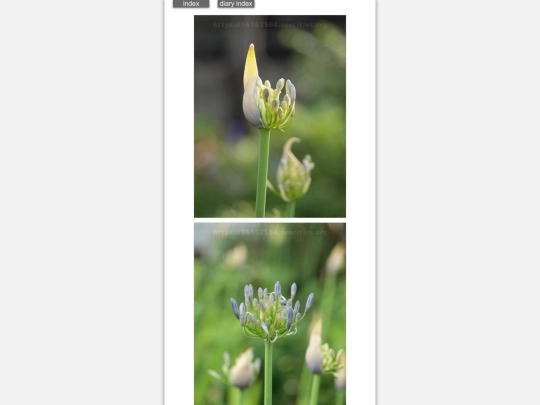 2024/hadaikon2024jun12 screenshot