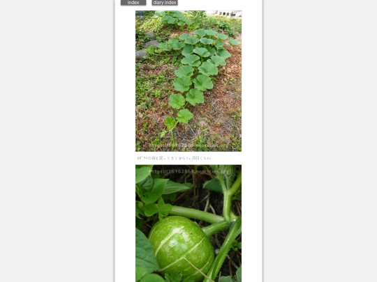 2024/hadaikon2024jun13 screenshot