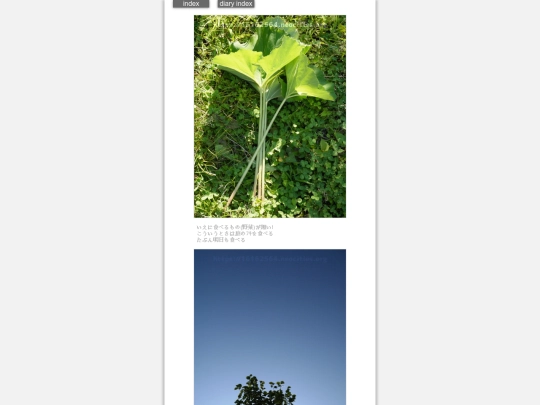2024/hadaikon2024jun14 screenshot