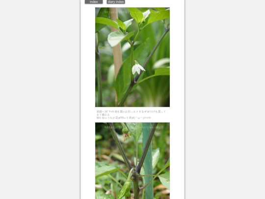 2024/hadaikon2024jun17 screenshot