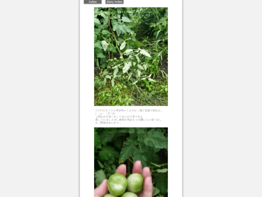 2024/hadaikon2024jun18 screenshot