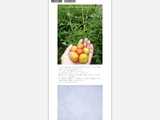 2024/hadaikon2024jun20 screenshot