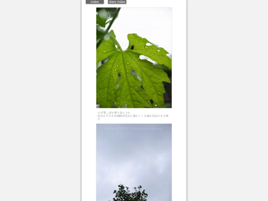 2024/hadaikon2024jun21 screenshot