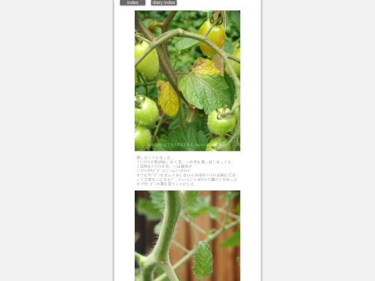 2024/hadaikon2024jun24 screenshot