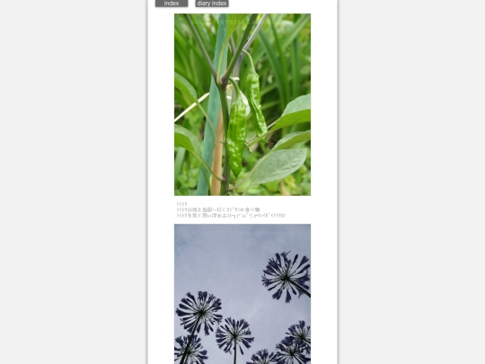 2024/hadaikon2024jun25 screenshot