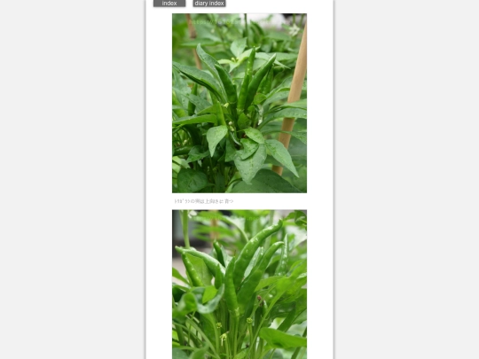 2024/hadaikon2024jun26 screenshot