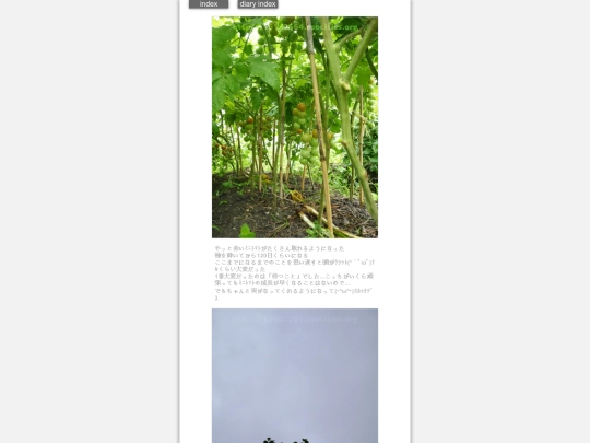 2024/hadaikon2024jun27 screenshot