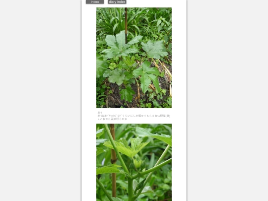 2024/hadaikon2024jun28 screenshot