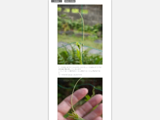 2024/hadaikon2024jun8 screenshot
