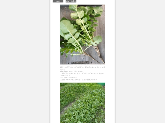 2024/hadaikon2024mar14 screenshot