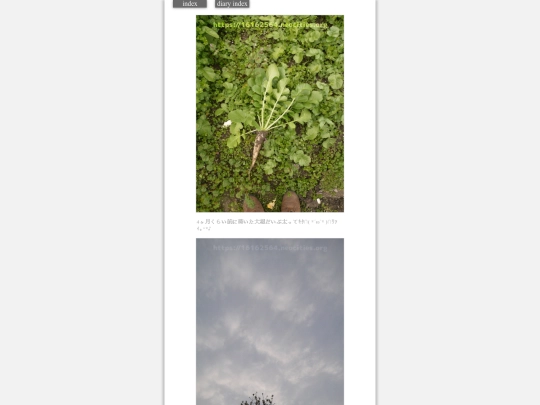 2024/hadaikon2024mar19 screenshot