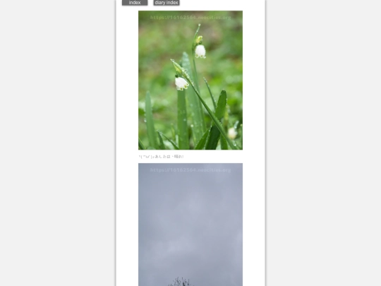 2024/hadaikon2024mar26 screenshot