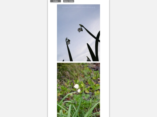 2024/hadaikon2024mar28 screenshot