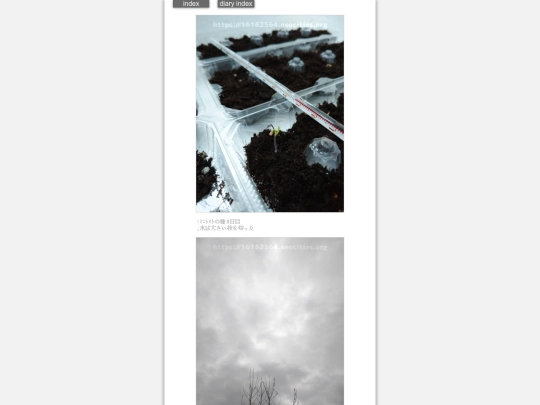 2024/hadaikon2024mar29 screenshot