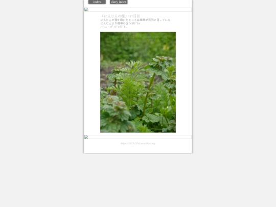 2024/hadaikon2024mar7 screenshot