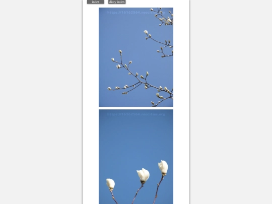 2024/hadaikon2024mar8 screenshot