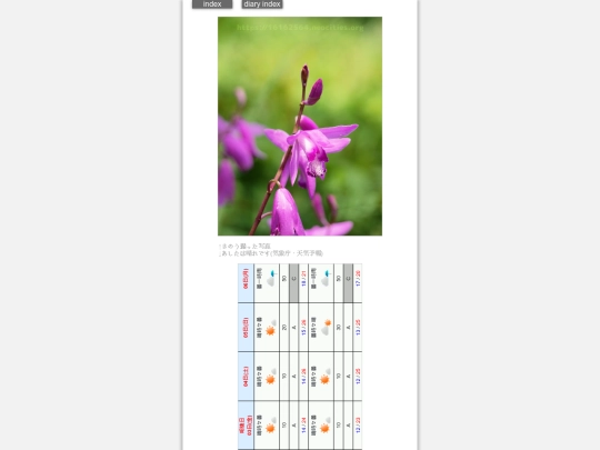 2024/hadaikon2024may1 screenshot