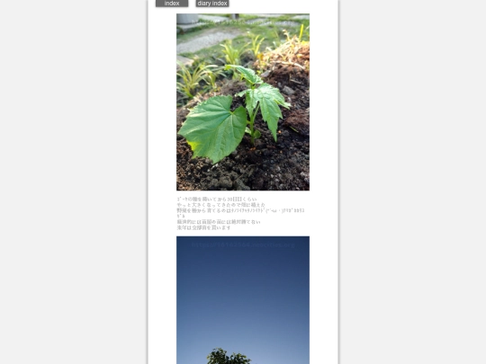 2024/hadaikon2024may10 screenshot