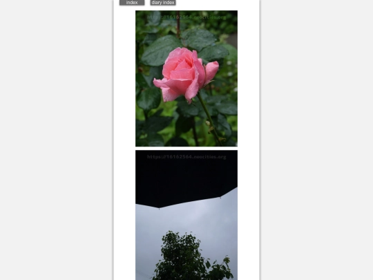 2024/hadaikon2024may13 screenshot