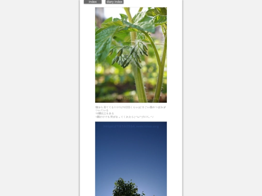 2024/hadaikon2024may14 screenshot