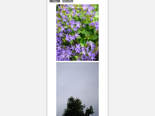 2024/hadaikon2024may15 screenshot