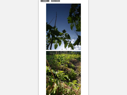 2024/hadaikon2024may16 screenshot