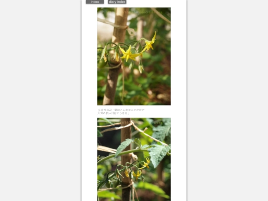 2024/hadaikon2024may17 screenshot