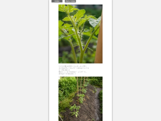 2024/hadaikon2024may2 screenshot