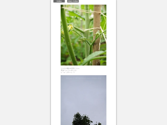 2024/hadaikon2024may20 screenshot