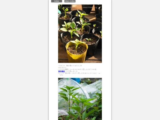 2024/hadaikon2024may21 screenshot