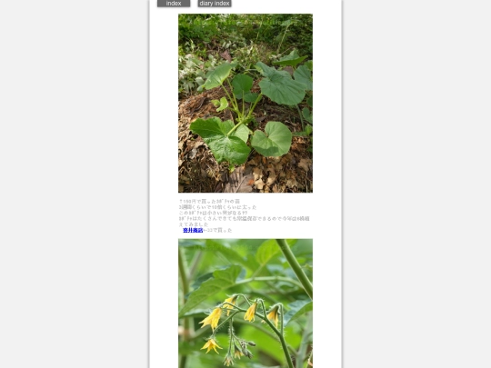 2024/hadaikon2024may22 screenshot