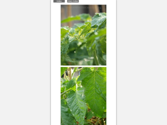 2024/hadaikon2024may24 screenshot