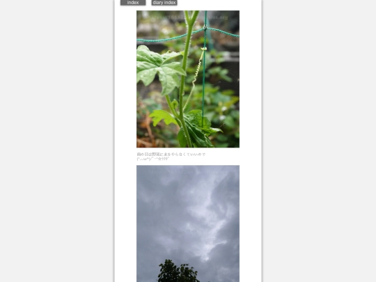 2024/hadaikon2024may27 screenshot